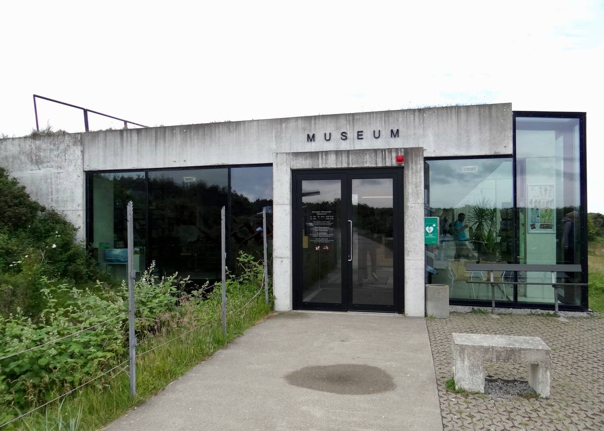 Flaches Museumsgebäude aus Beton und Glasfronten
