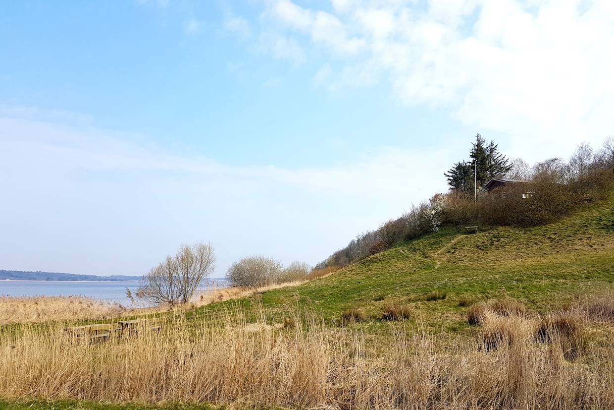 Foto von Hjarbæk Strand