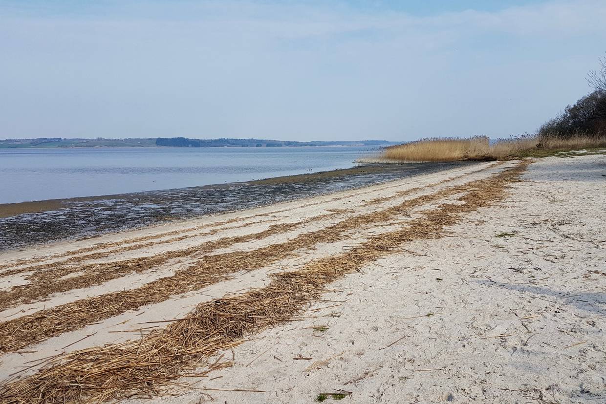 Foto von Hjarbæk Strand