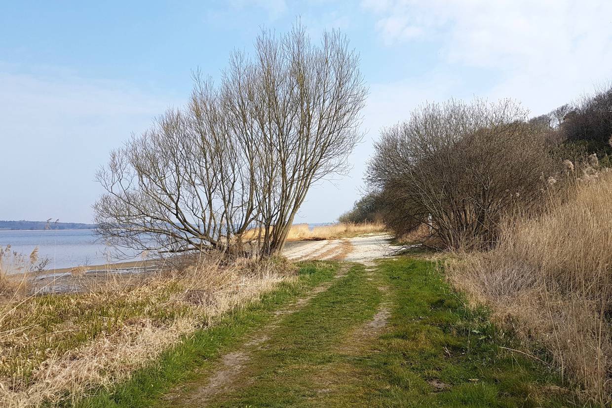Foto von Hjarbæk Strand