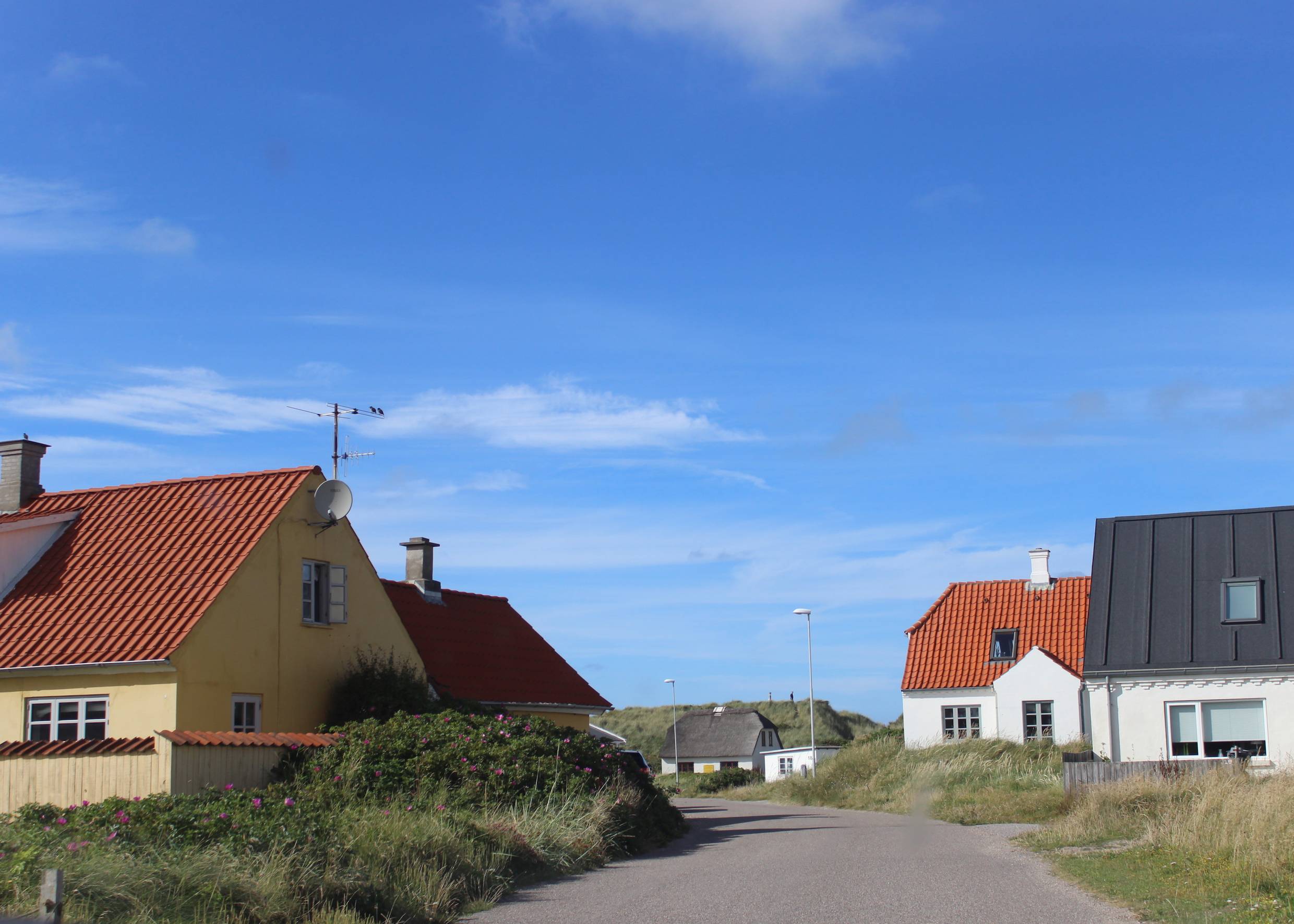 Straße durch Klitmøller mit gelben und weißen Häusern am Weg
