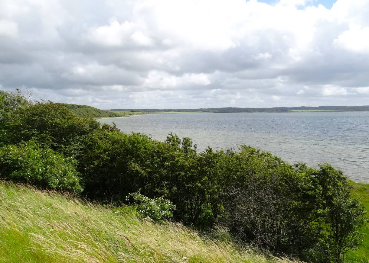 Blick auf einen See mit grünen Hügeln am Ufer