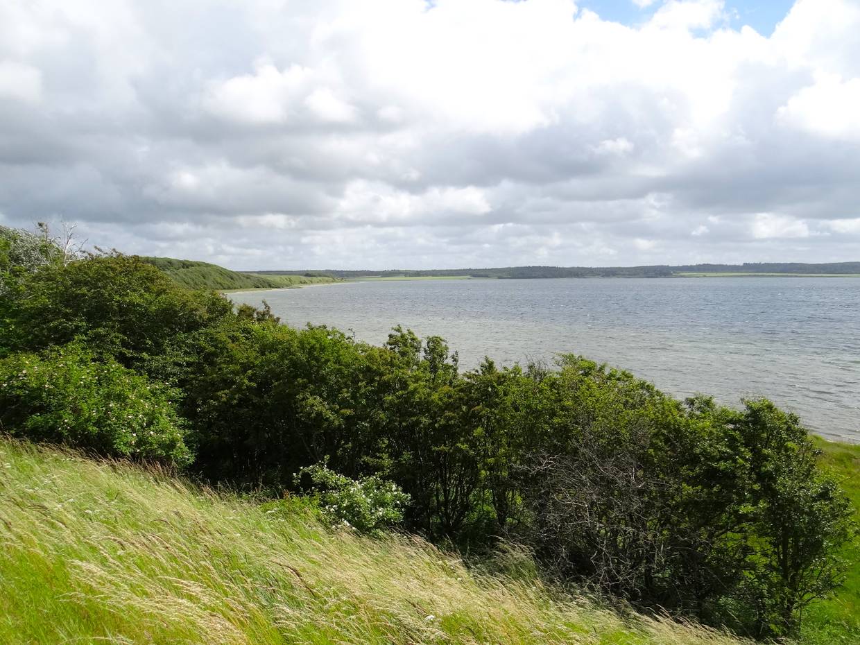 Blick auf einen See mit grünen Hügeln am Ufer