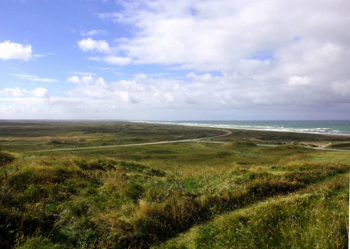 Blick über die unbeaute Landschaft und das Meer im Nationalpark Thy