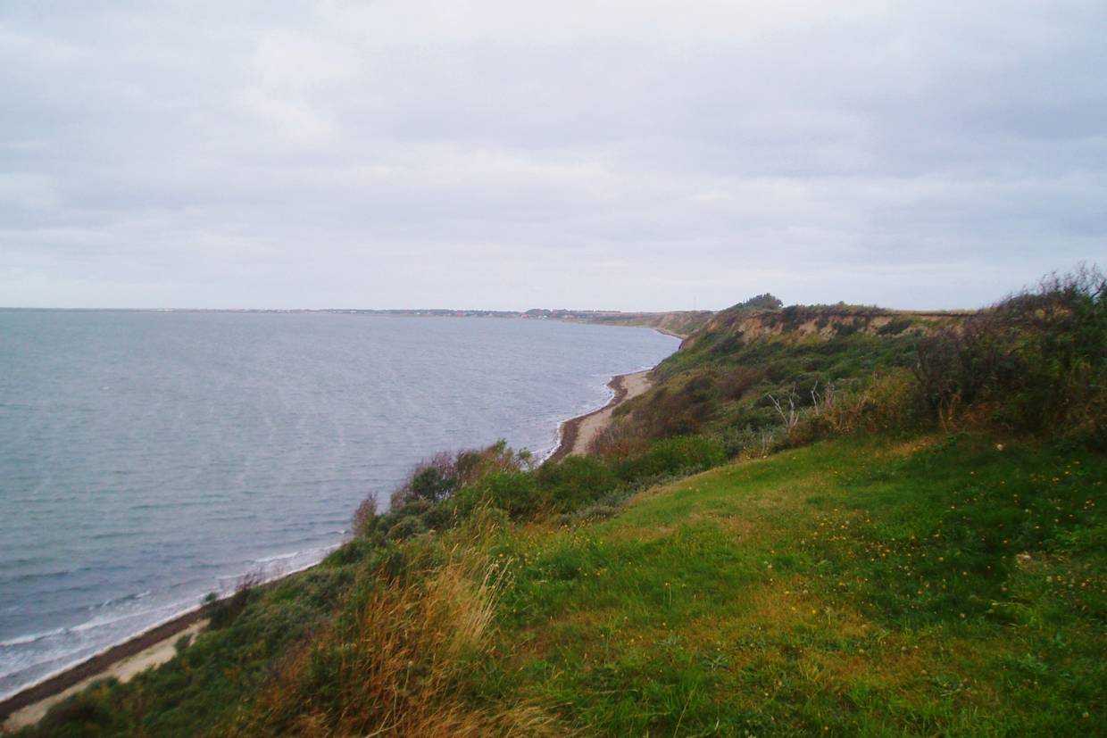 Foto von Krik Vig Strand