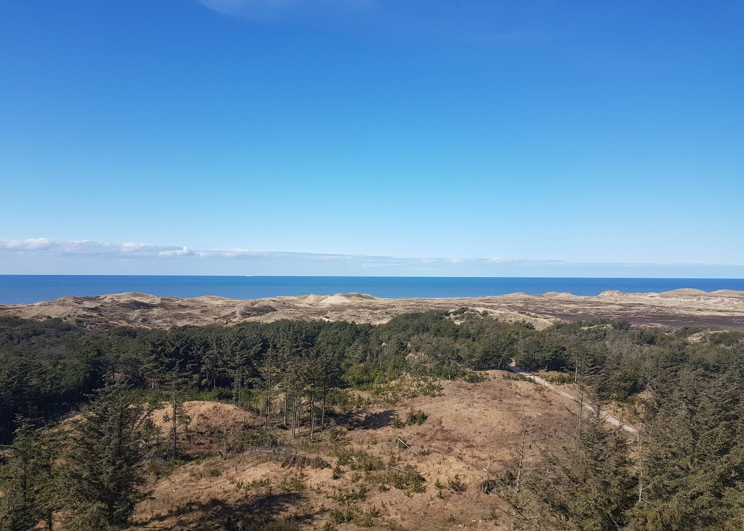 Blick vom Turm über Dünen und Nadelwald zum Meer