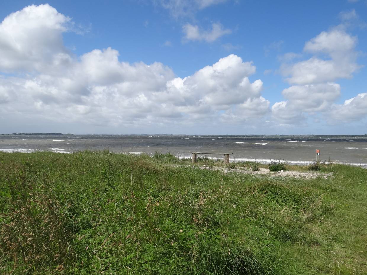 Einfache Bank am Ufer des Limfjords