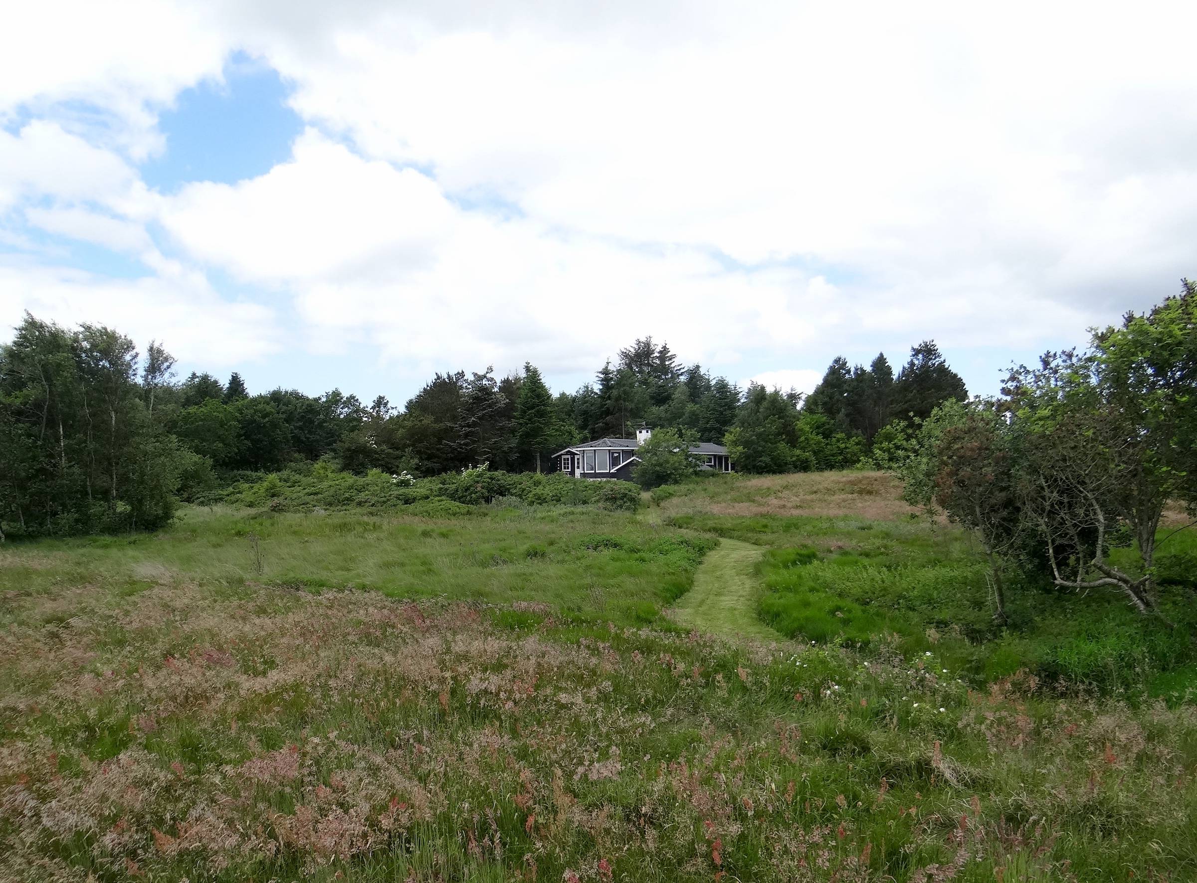 Vereinzeltes Ferienhaus hinter einer Wiese