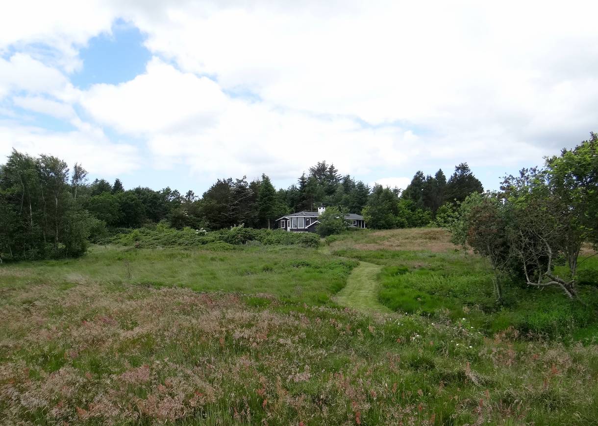 Vereinzeltes Ferienhaus hinter einer Wiese