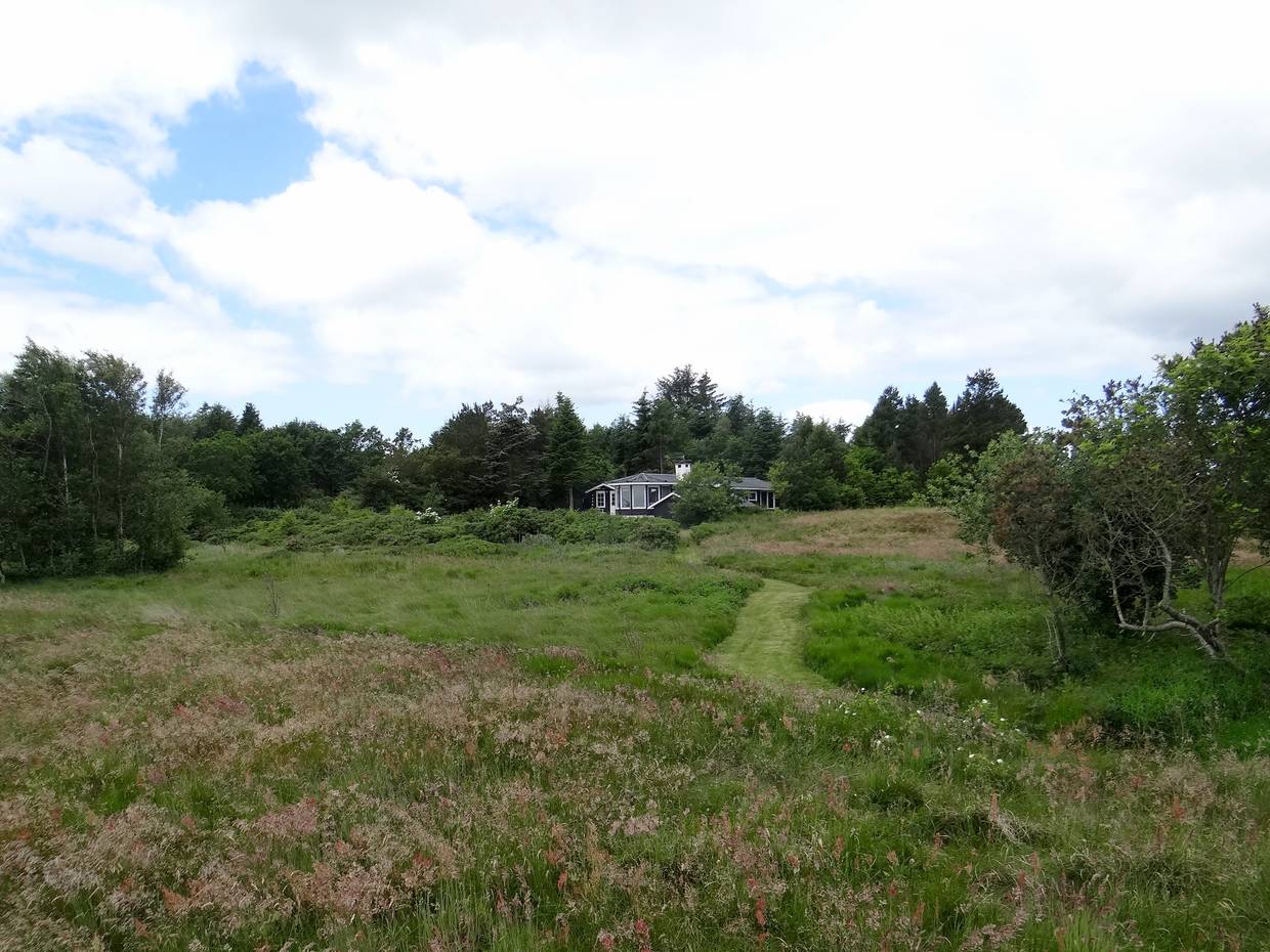 Vereinzeltes Ferienhaus hinter einer Wiese