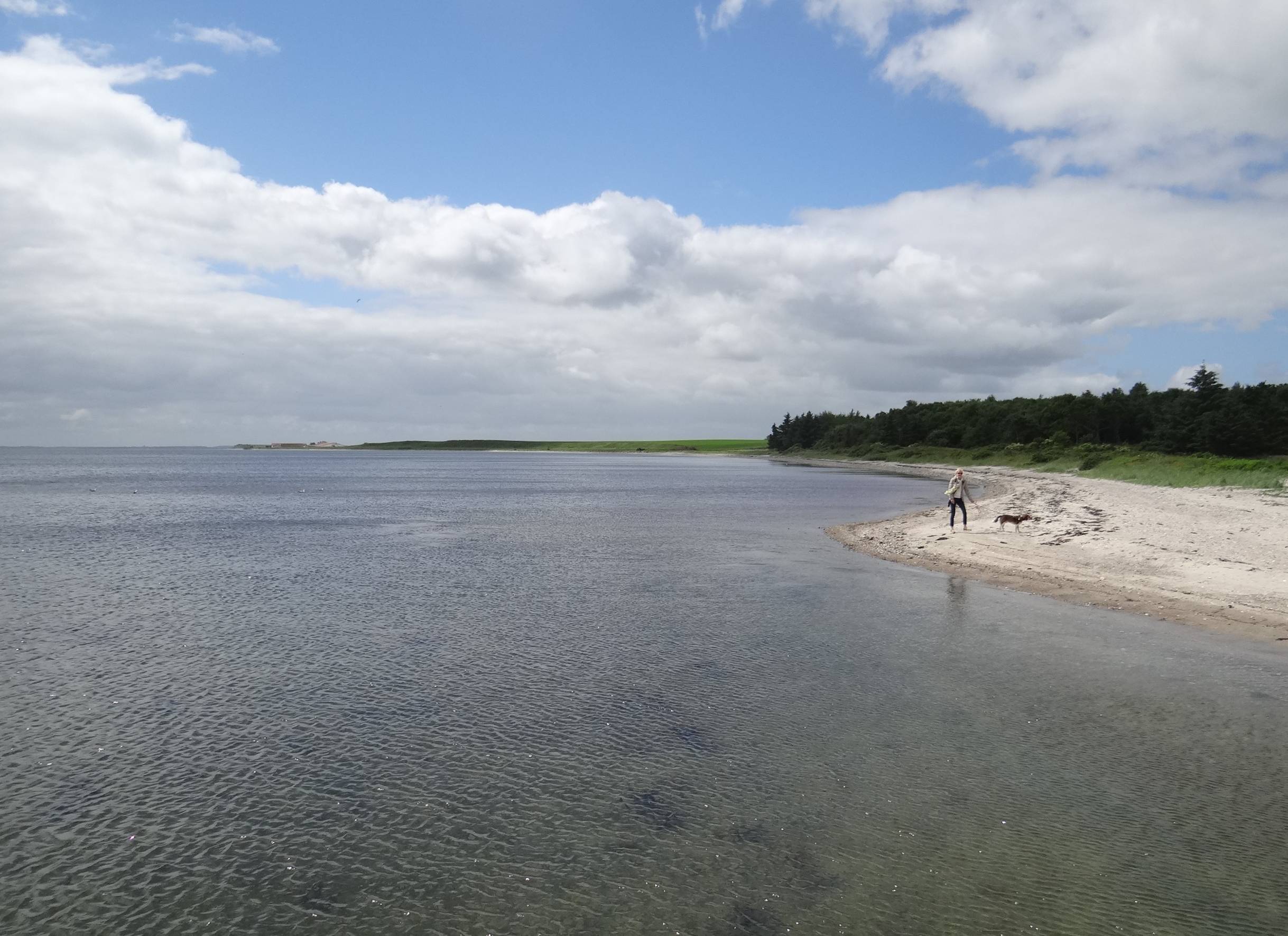 Sandstrand auf Mors mit einer Spaziergängerin mit Hund