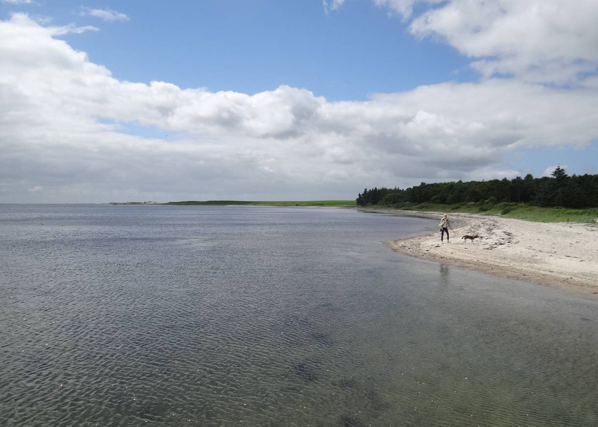 Sandstrand auf Mors mit einer Spaziergängerin mit Hund