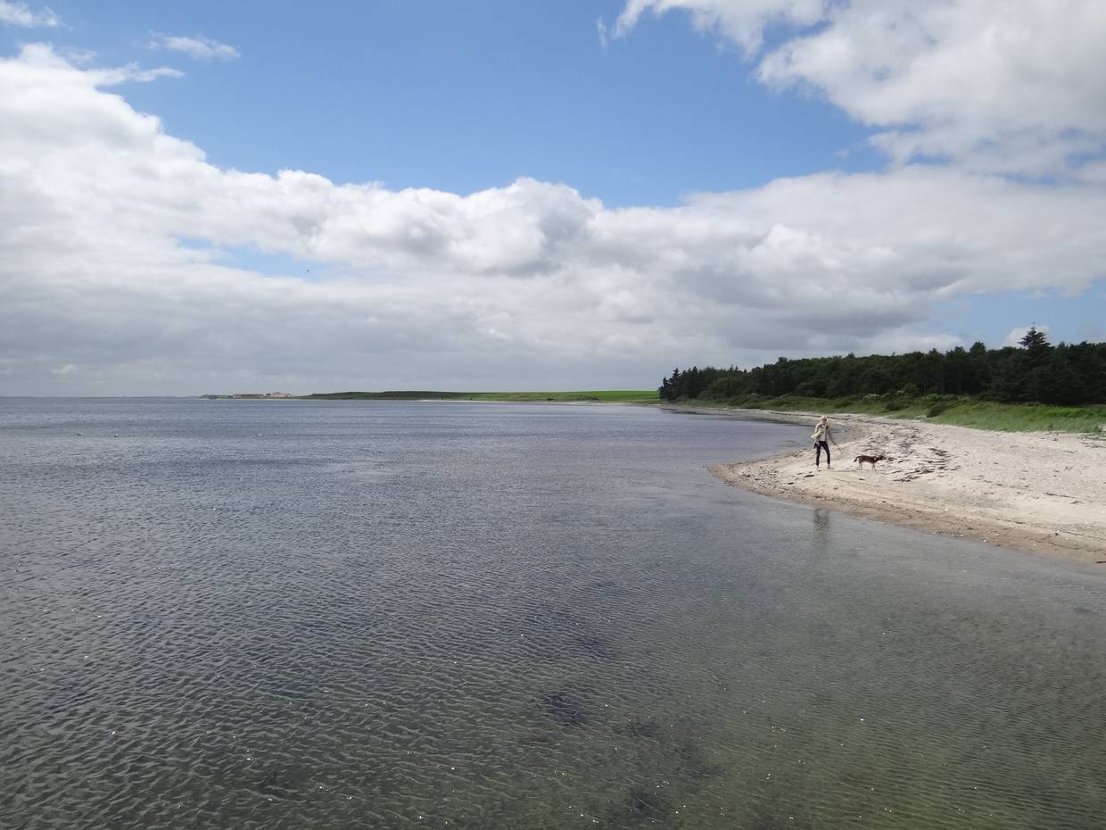 Sandstrand auf Mors mit einer Spaziergängerin mit Hund
