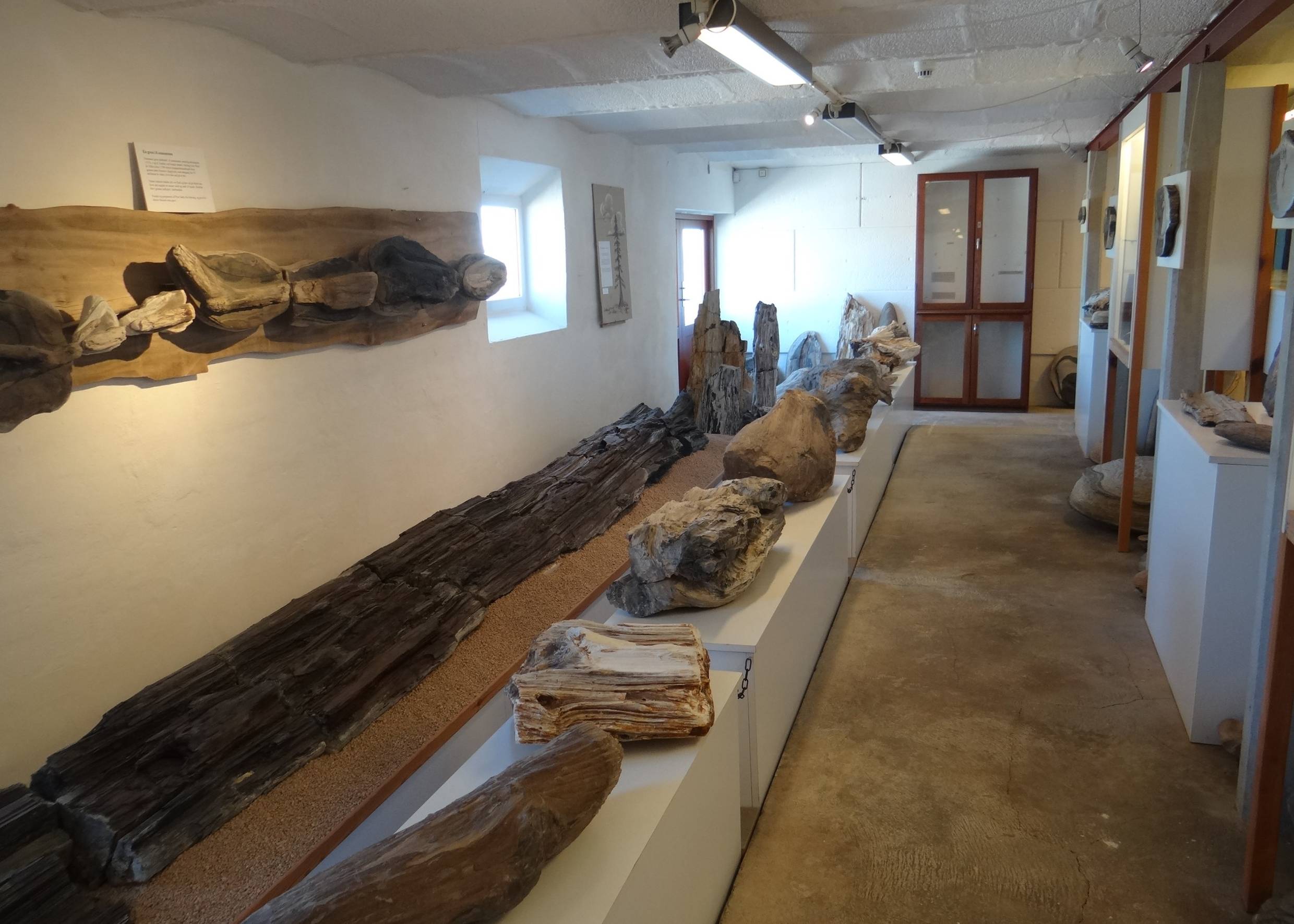 Aussicht vom Moler Museum auf Mors