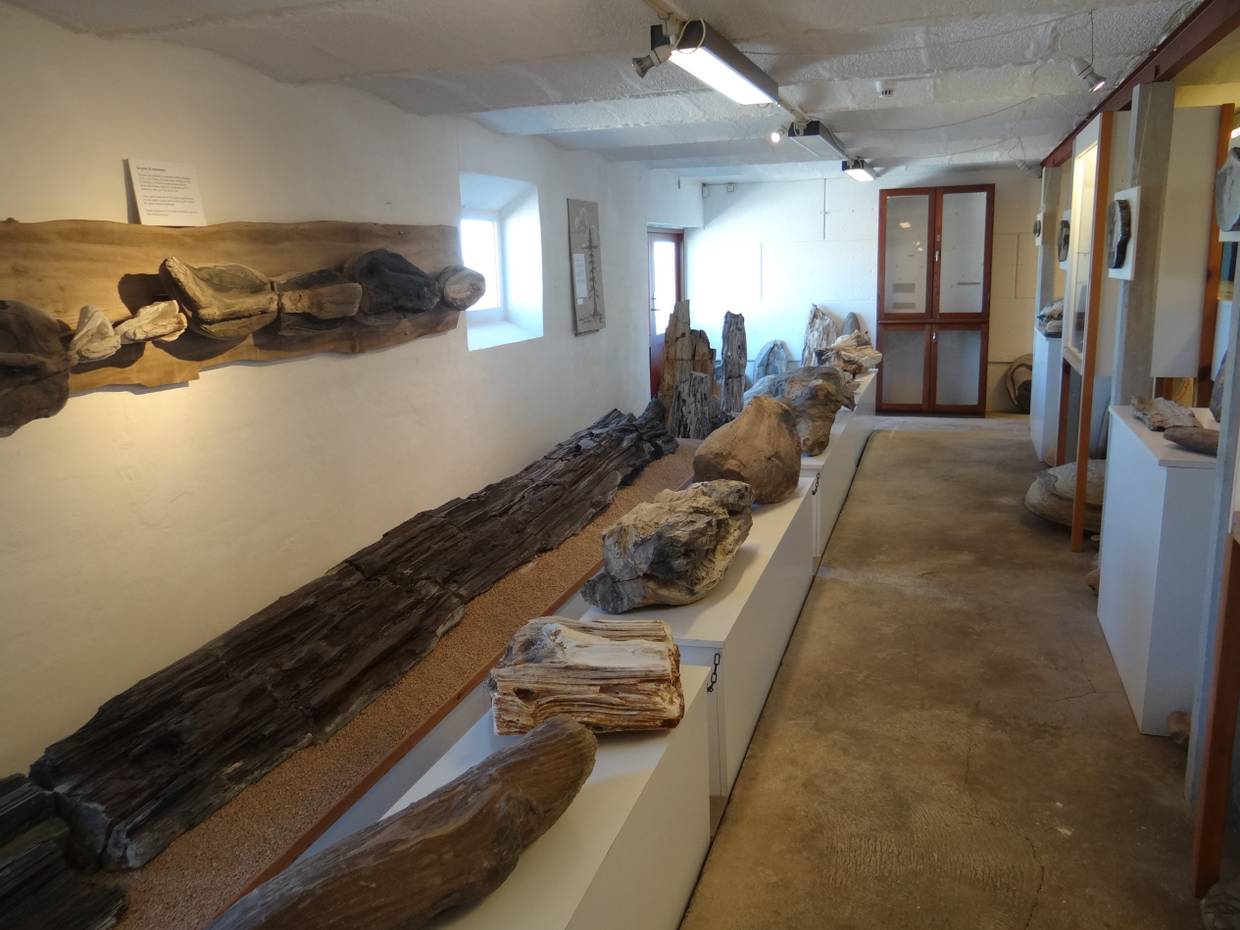 Aussicht vom Moler Museum auf Mors