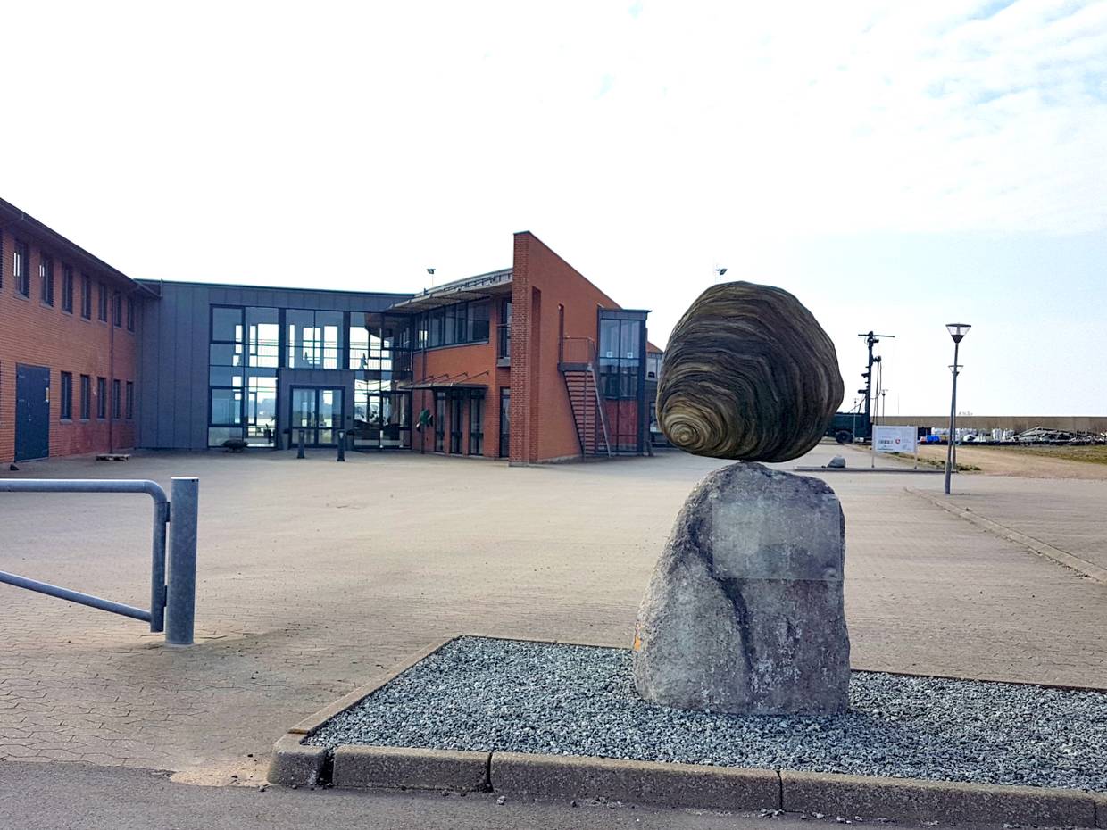 Die Skulptur einer übergroßen Austernschale vor dem modernen Museumsgebäude
