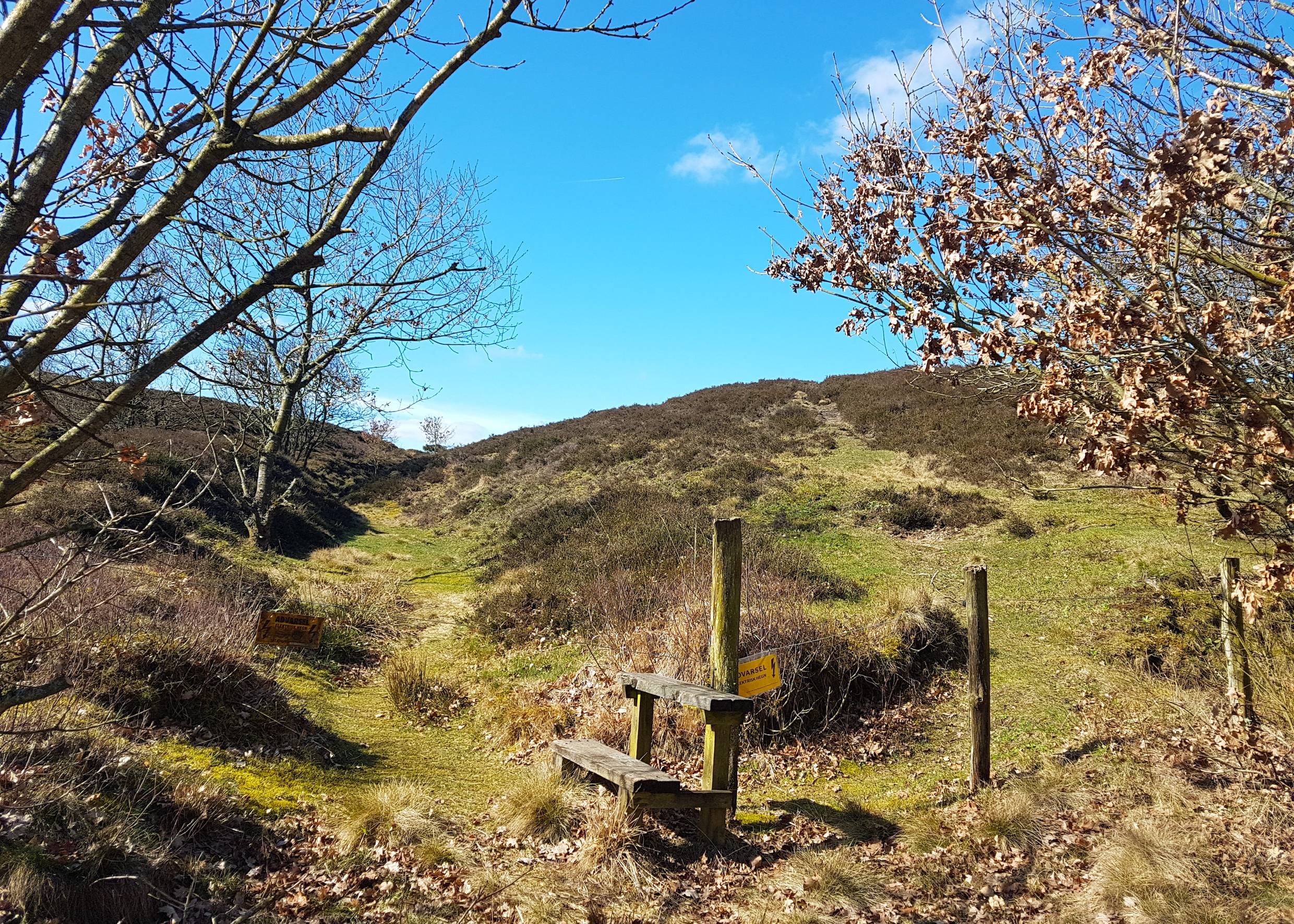 Kleine Holzbank vor zwei heidebedeckten Hügeln