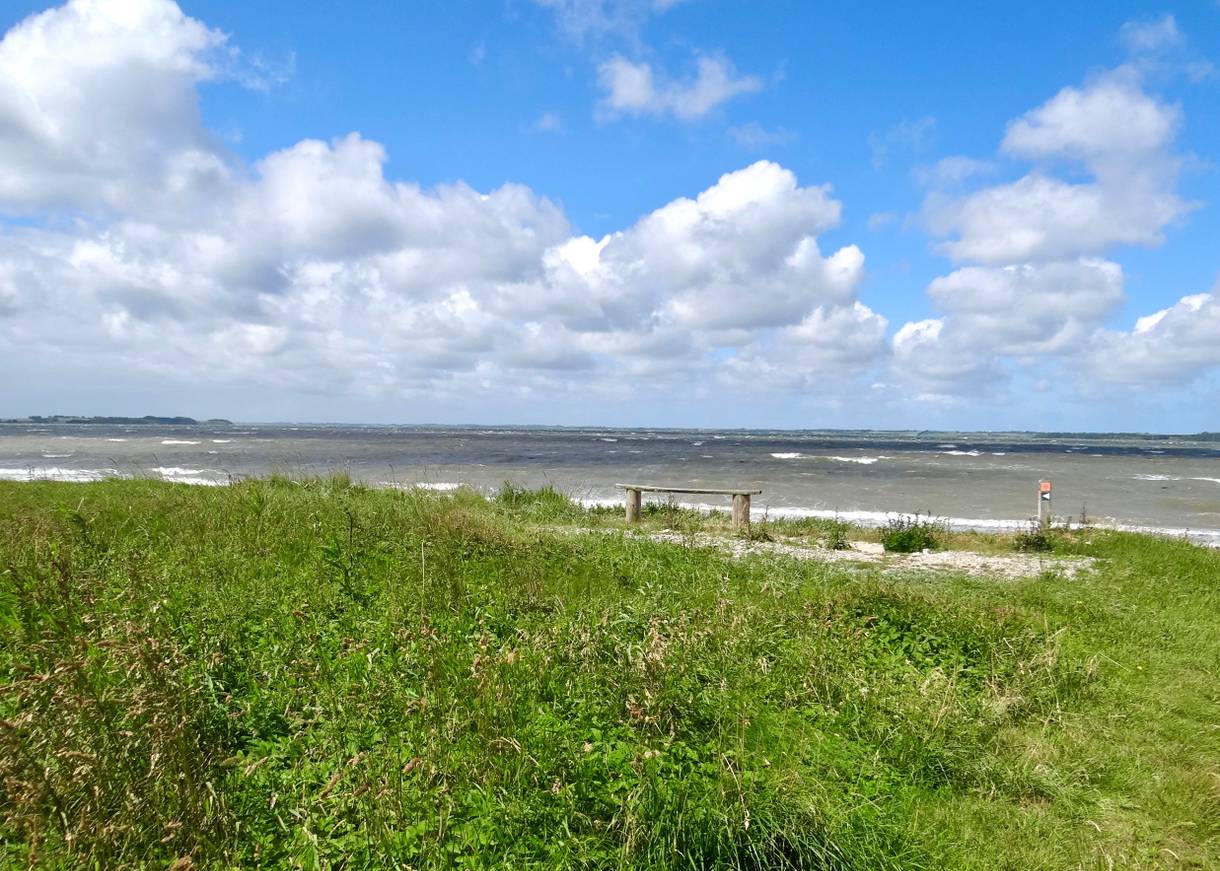 Einfache Holzbank am Limfjord, darüber blauer Himmel mit vielen Wolken