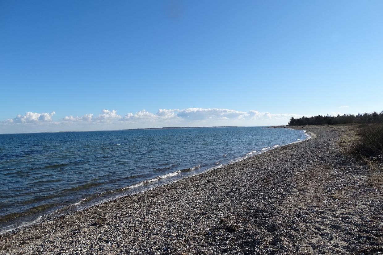 Foto von Søndbjerg Strand