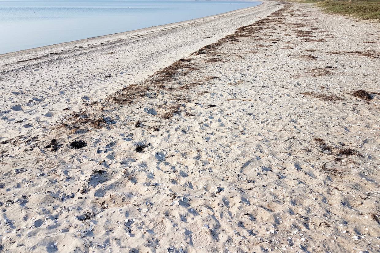 Foto von Trend Strand