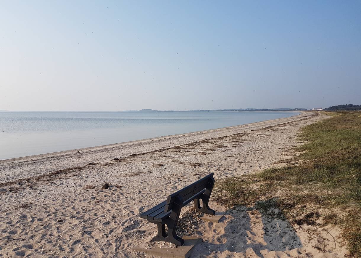 Sitzbank an einem schmalen, sandigen Strand am Fjord