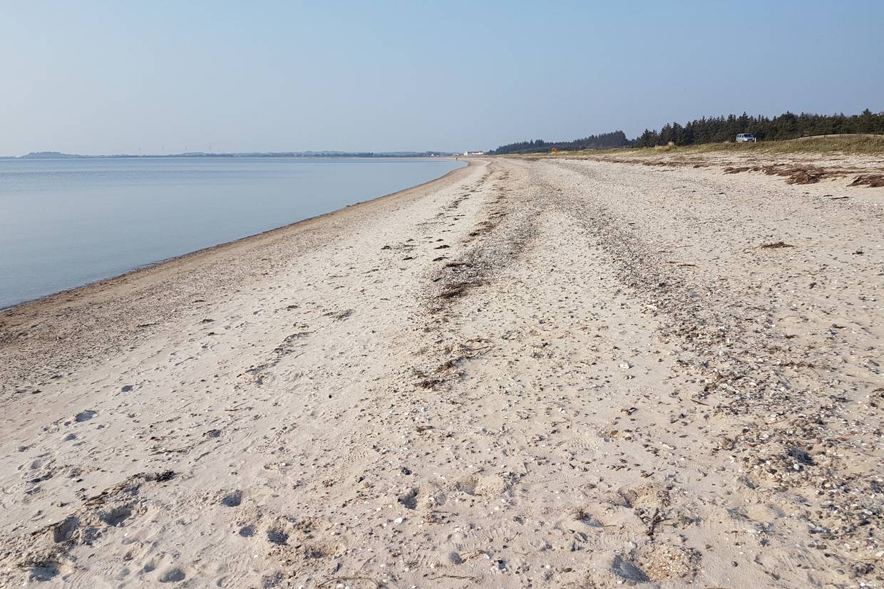 Foto von Trend Strand
