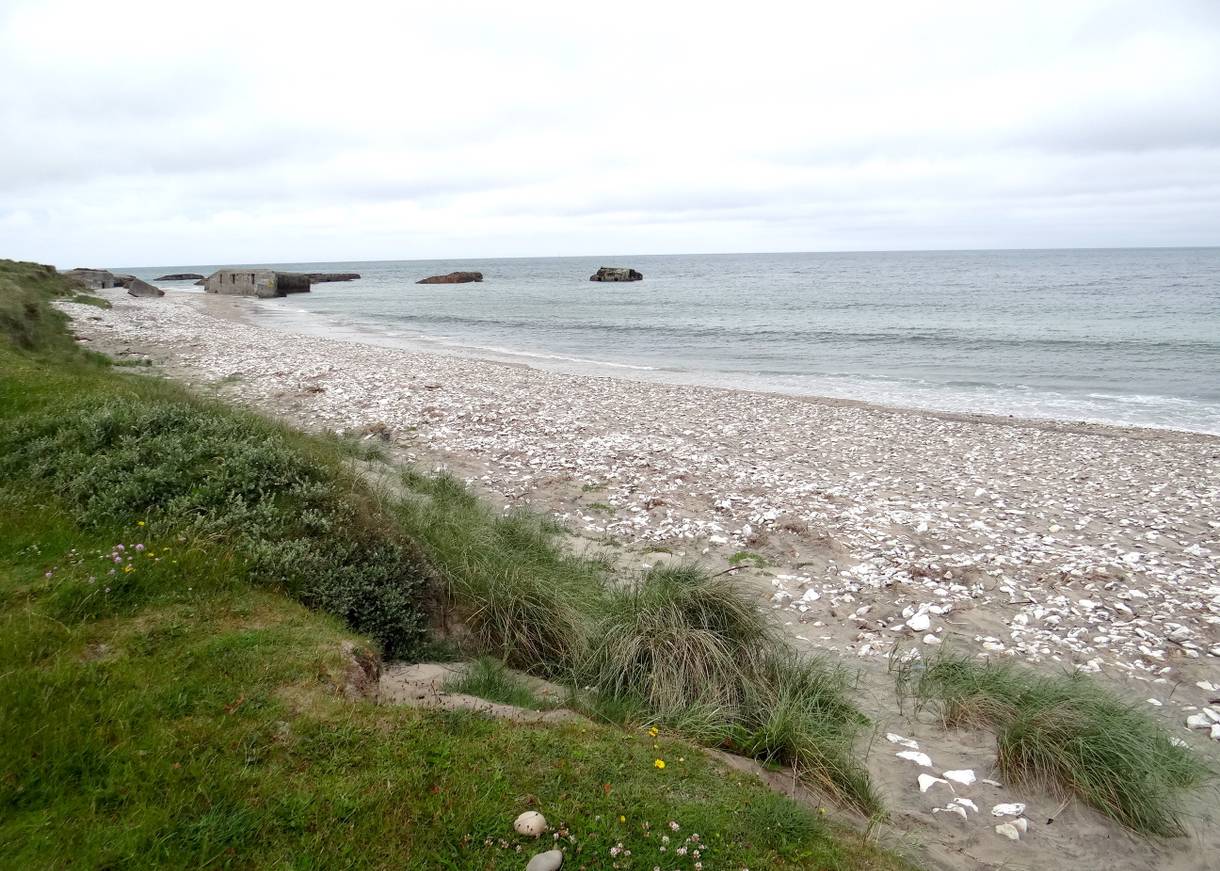 Fjordstrand mit vielen Steinen, im Hintergrund ein alter Bunker