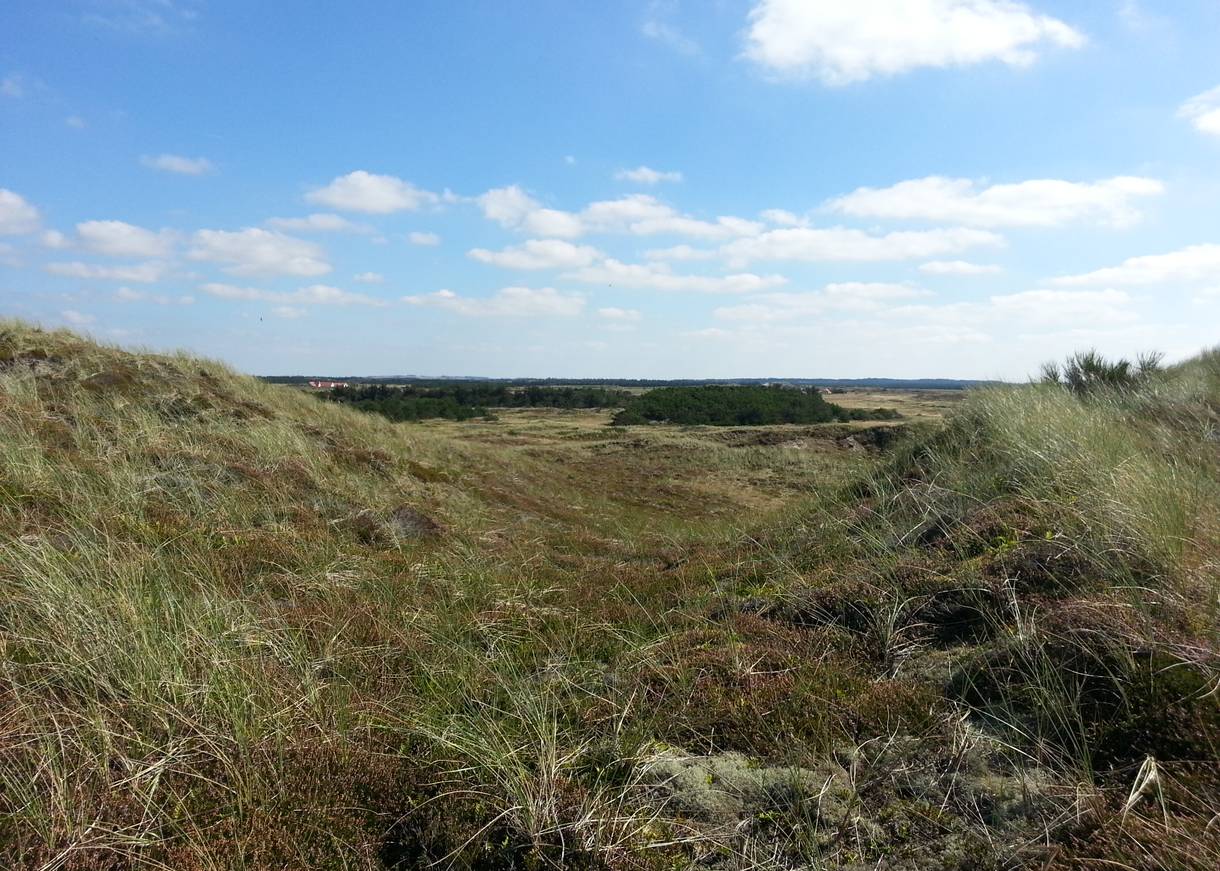 Blick durch eine grünen bewachsenes Dünental