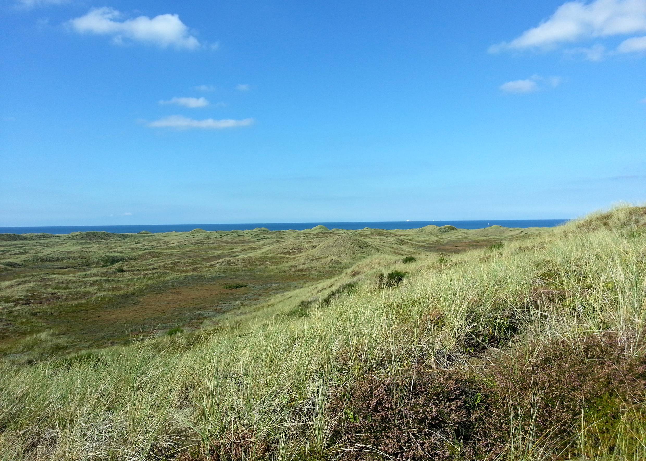 Unbebauten Dünenlandschaft mit dem Meer im Hintergrund