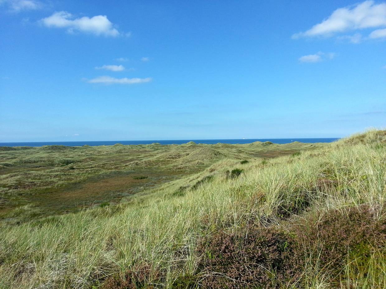 Unbebauten Dünenlandschaft mit dem Meer im Hintergrund