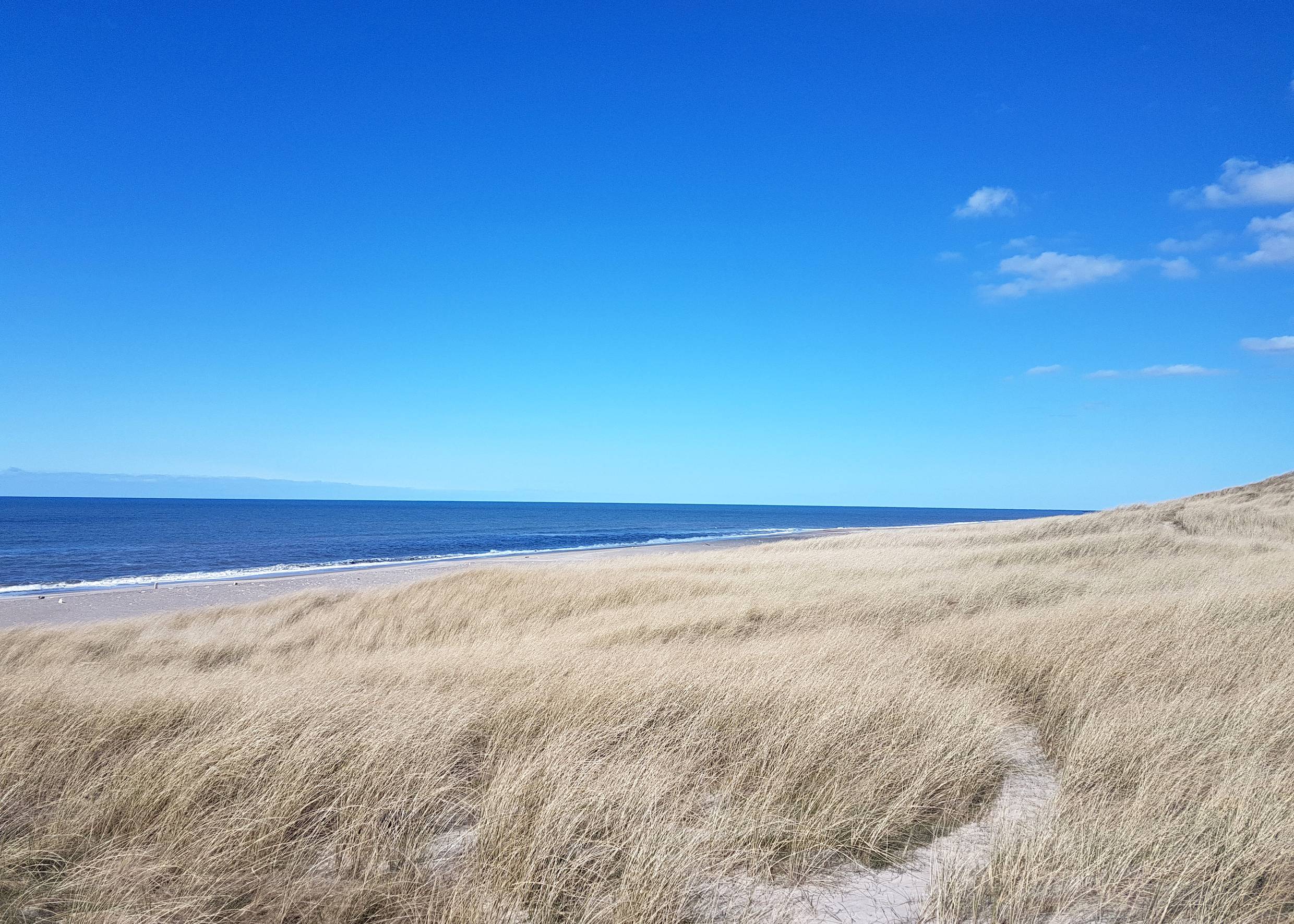 Dünen und Strand im Frühling, menschenleer