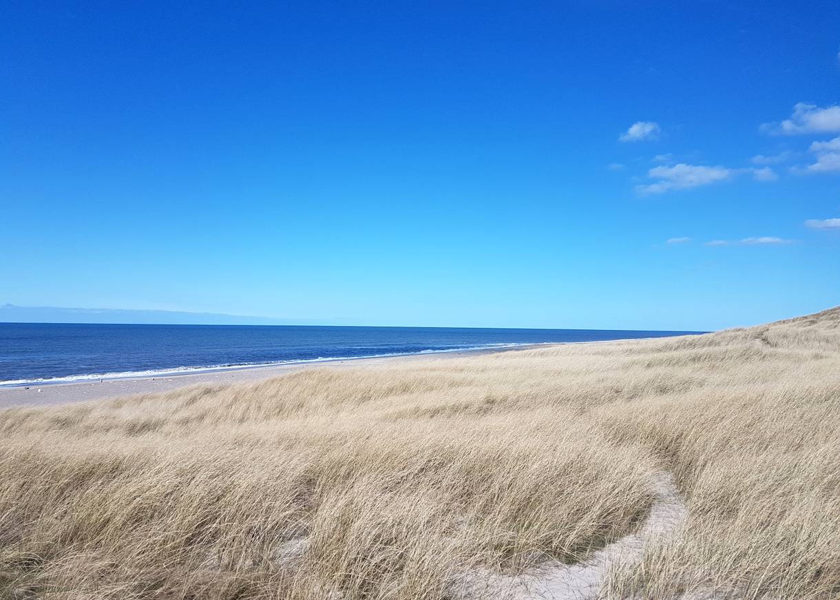 Dünen und Strand im Frühling, menschenleer