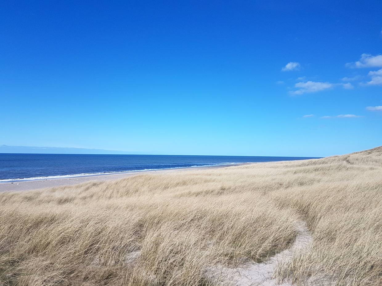 Dünen und Strand im Frühling, menschenleer