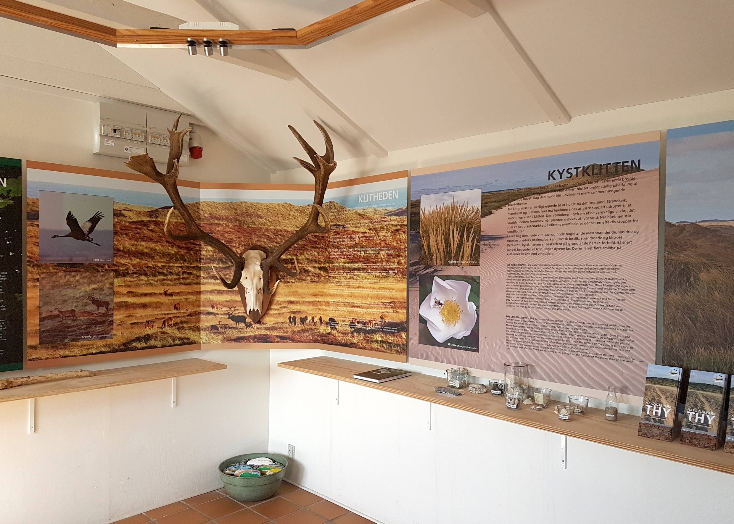 Geweih und Infotafeln an der Wand in einem kleinen Museum