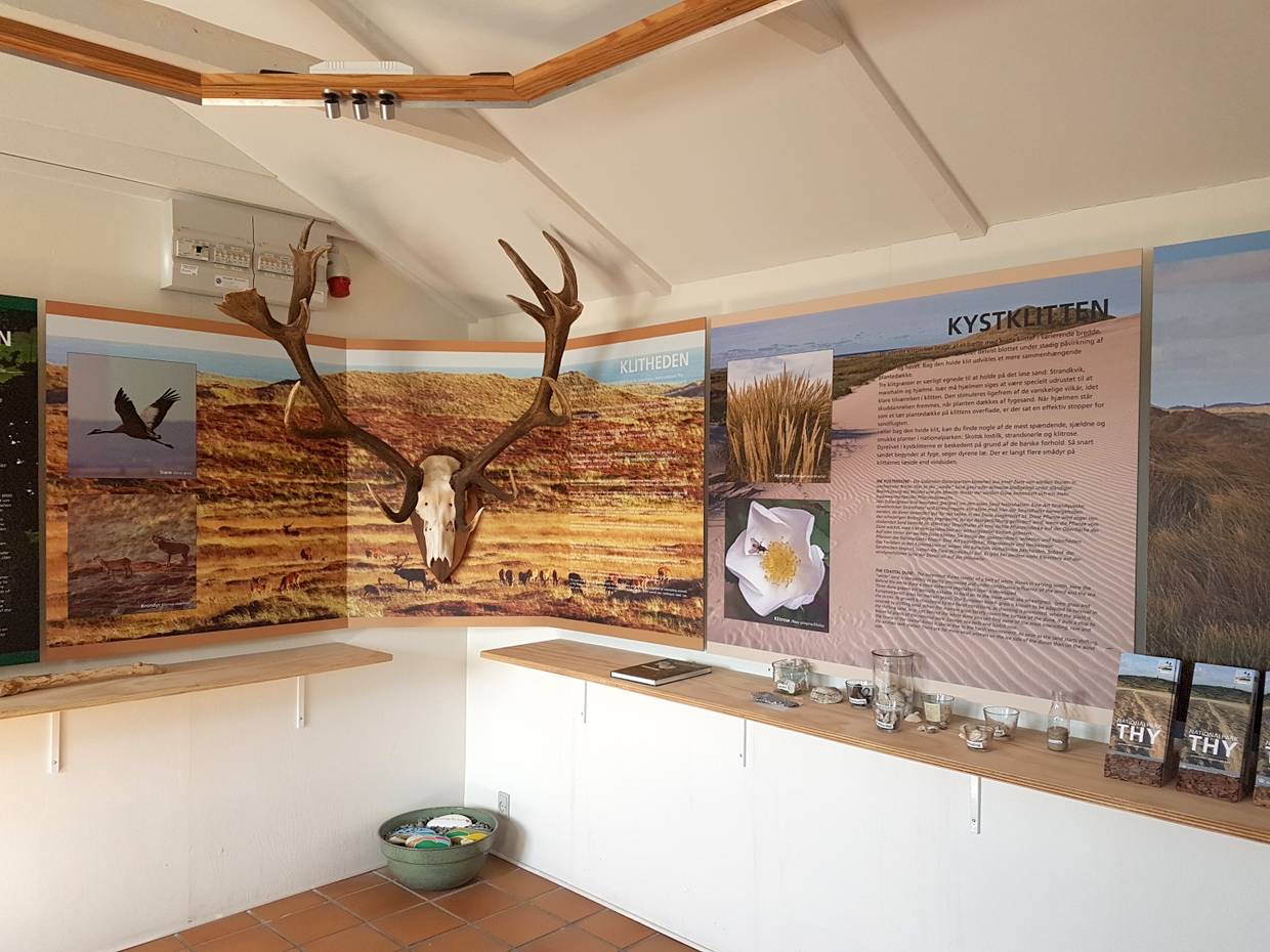 Geweih und Infotafeln an der Wand in einem kleinen Museum