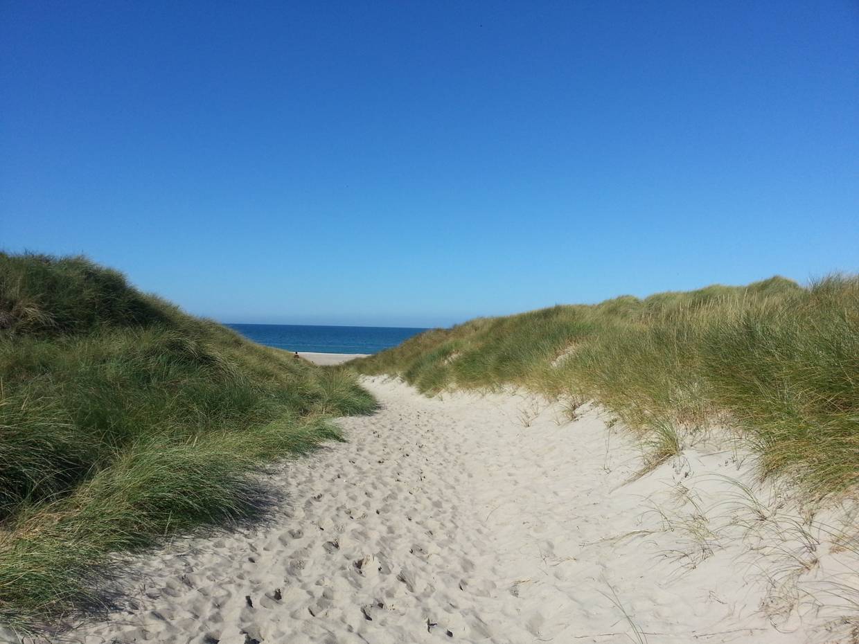 Sandweg durch Strandhafer zum Meer