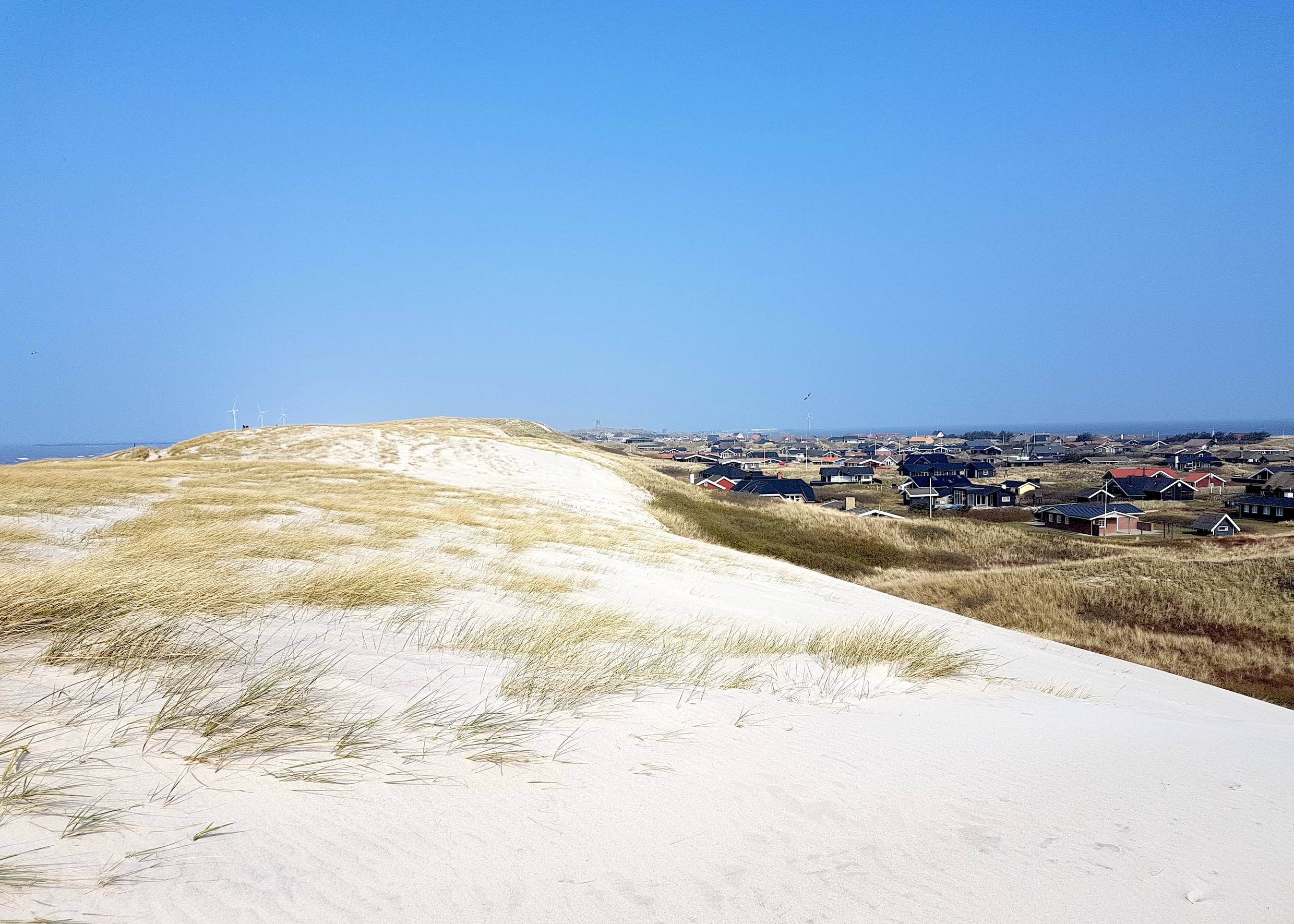 Ferienhaussiedlung hinter einer weißen Düne
