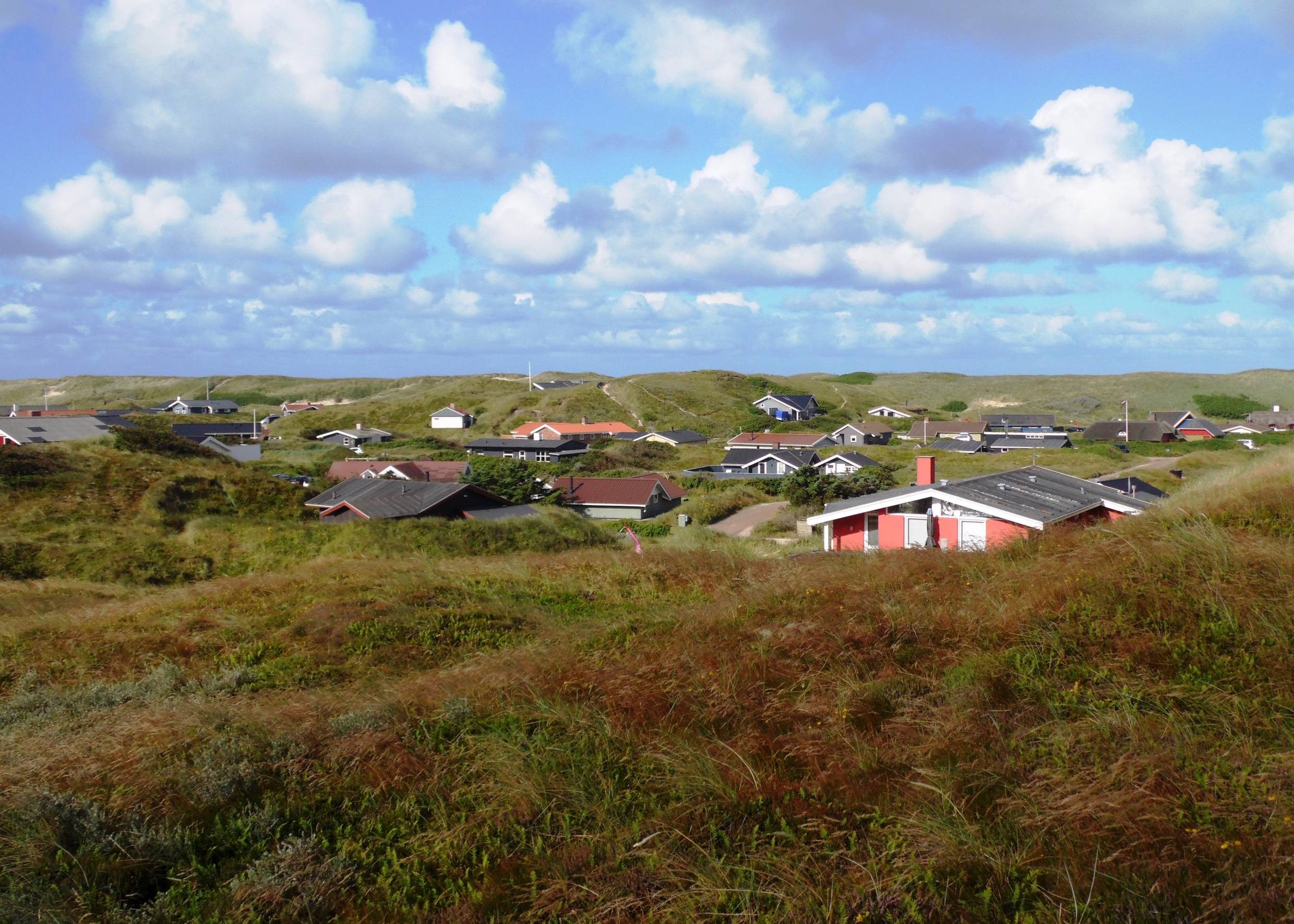Ferienhäiuser in einer Dünensenke, umgeben von Heide und Gräsern