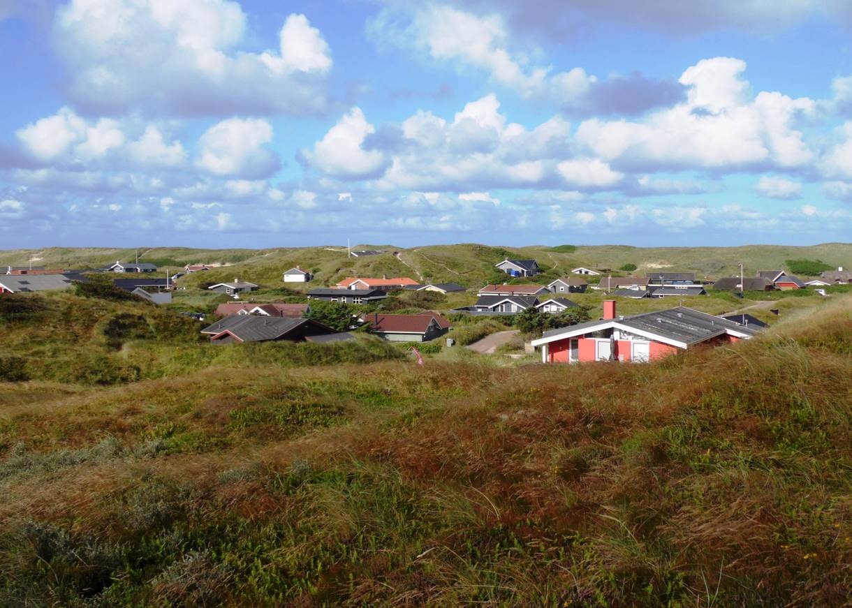 Ferienhäiuser in einer Dünensenke, umgeben von Heide und Gräsern