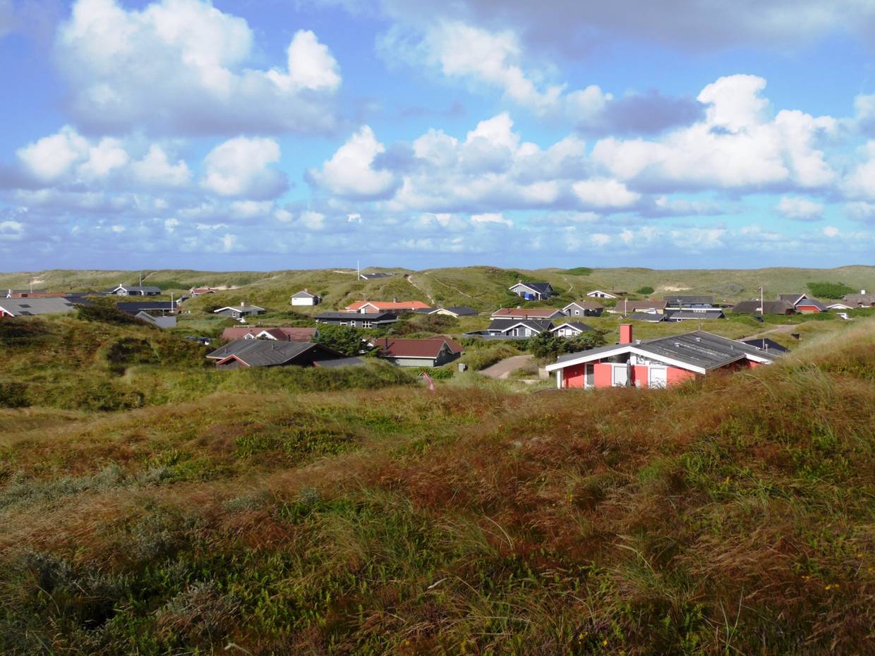 Ferienhäiuser in einer Dünensenke, umgeben von Heide und Gräsern