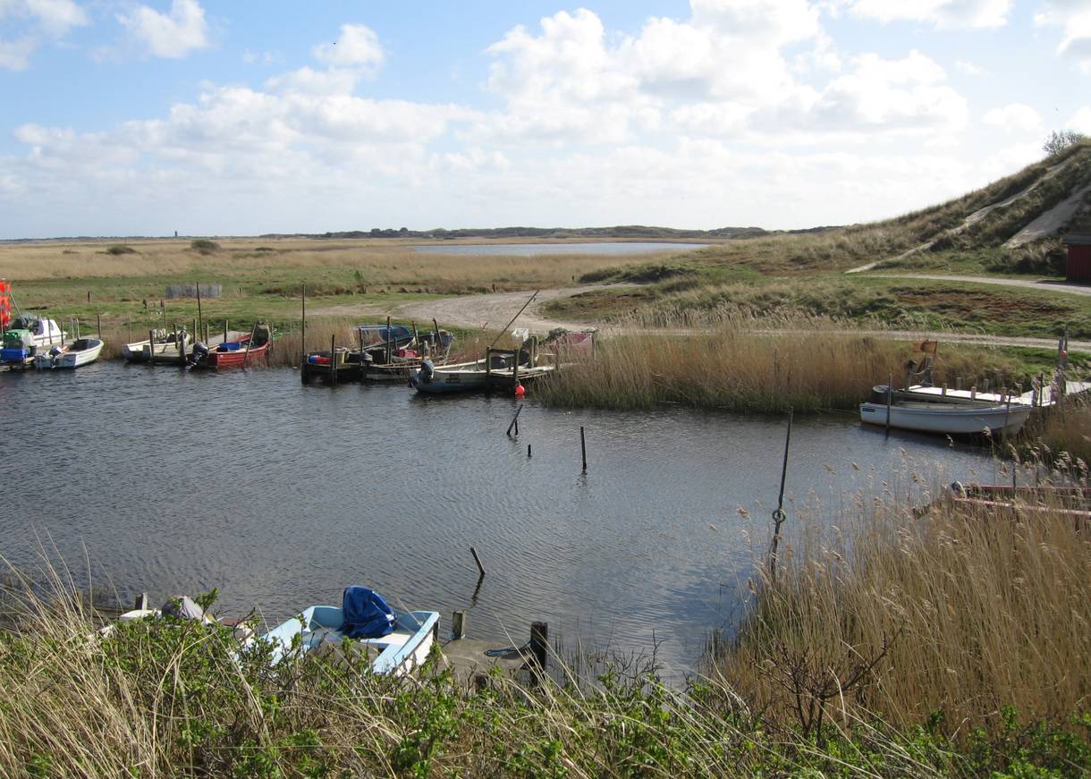 Hafenbecken am Fjord mit kleinen Booten im Schilf