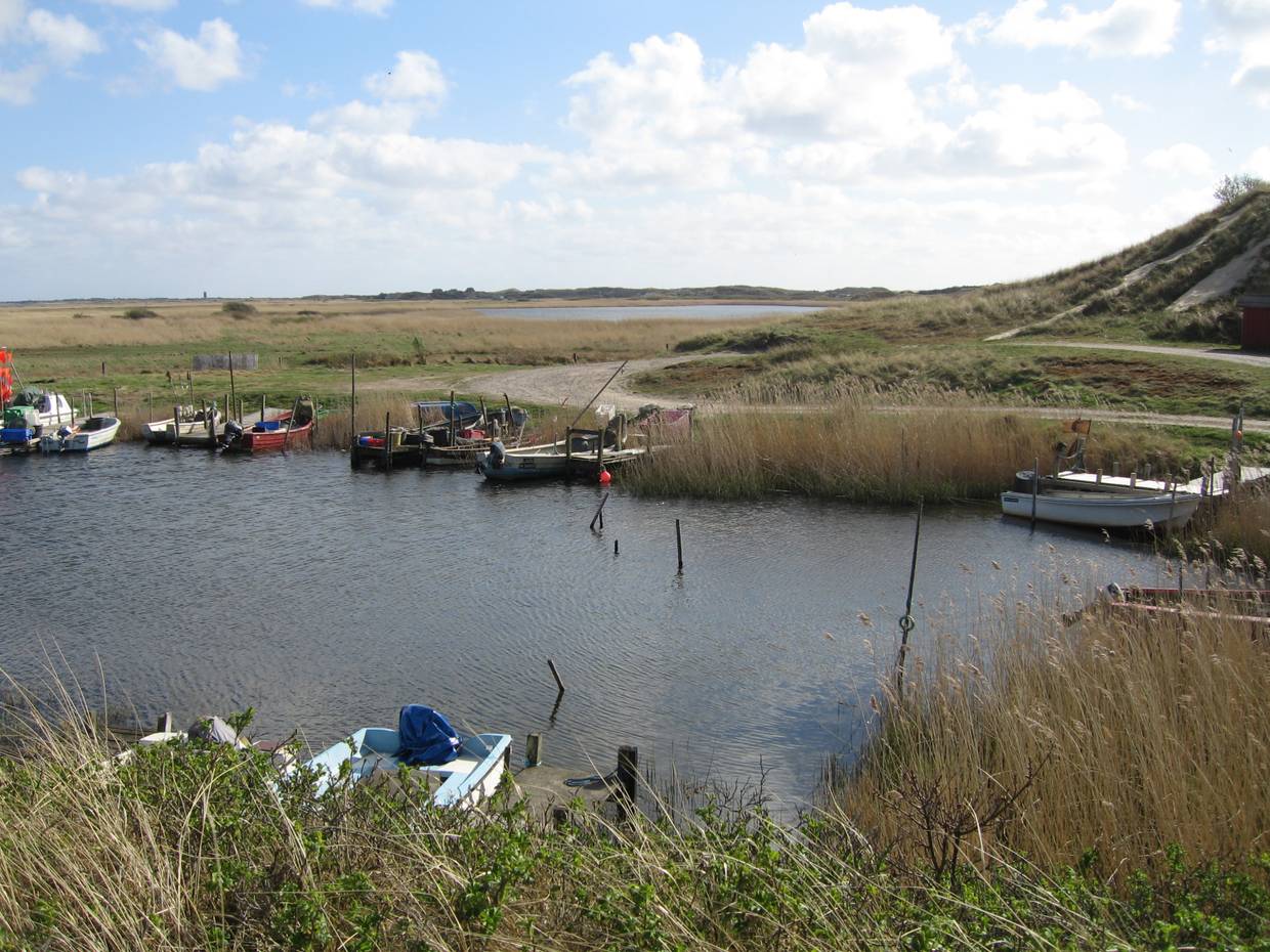 Hafenbecken am Fjord mit kleinen Booten im Schilf