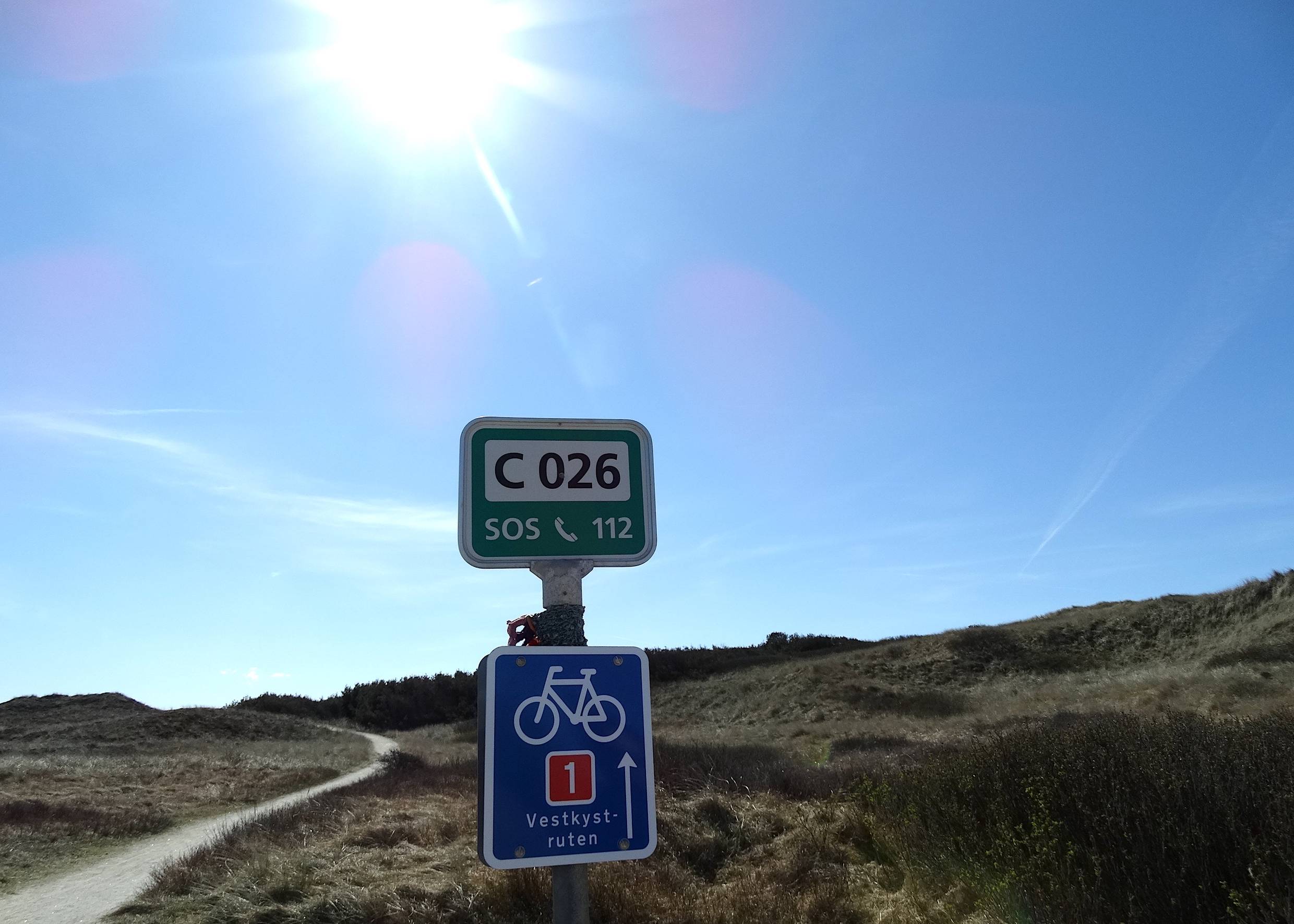 Befestigter Radweg durch die Dünenheide