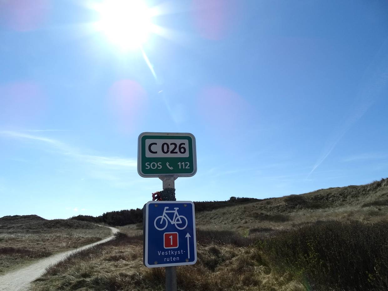 Befestigter Radweg durch die Dünenheide