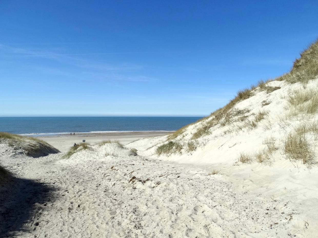 Weg durch die Dünen zum Strand
