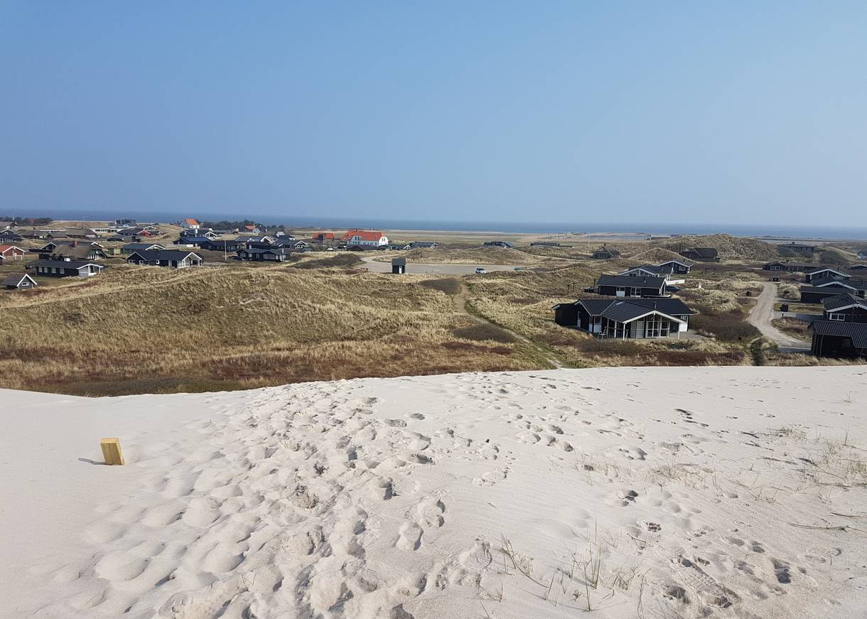 Aussicht von den Dünen auf das Ferienhausgebeit, im Hintergrund blaues Wasser