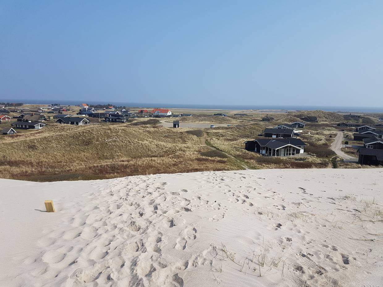 Aussicht von den Dünen auf das Ferienhausgebeit, im Hintergrund blaues Wasser