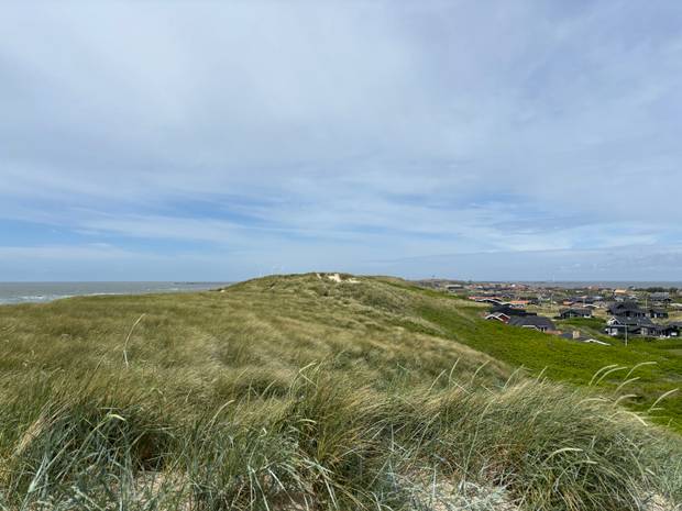 Blick auf das Ferienhausgebiet in Årgab mit Nordsee und Fjord