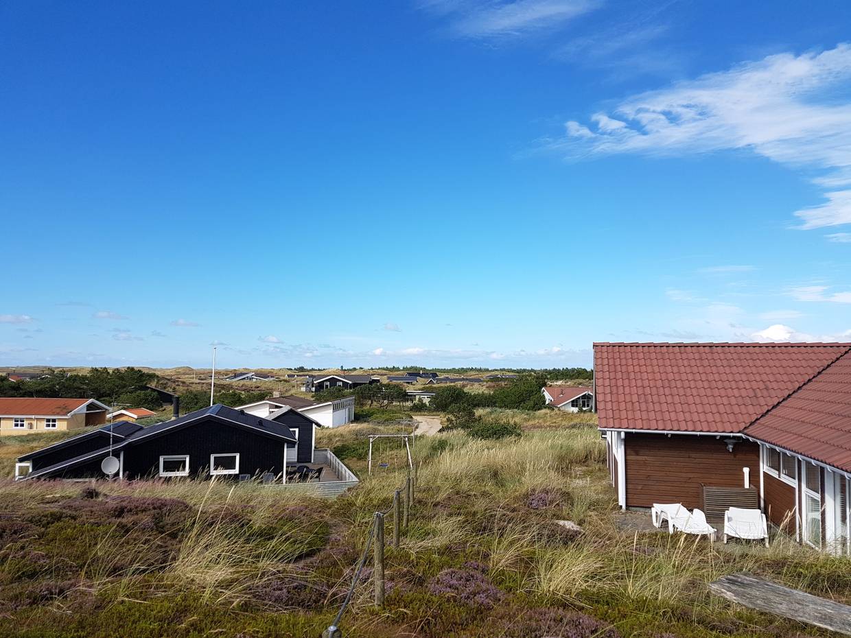 Blick auf den Grünstreifen zwischen zwei Ferienhausgrundstücken