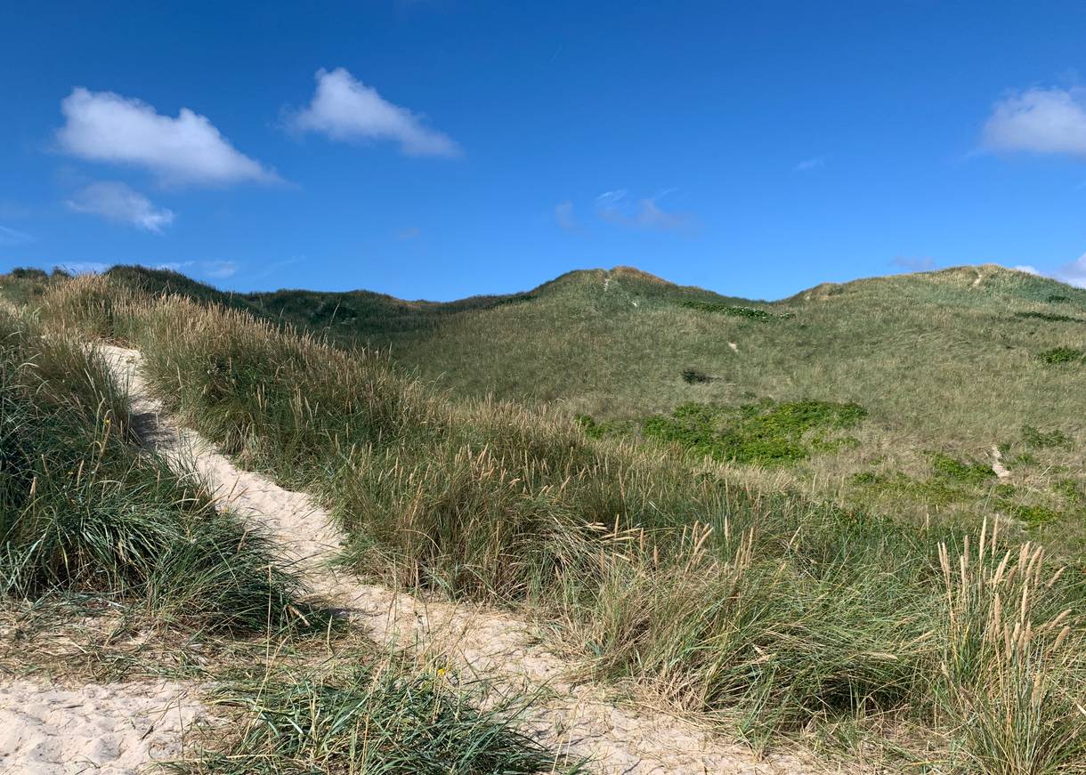 Fast unbebaute Dünenlandschaft mit Heide und Strandhafer